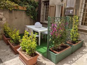 A garden outside D'Elite Room & Breakfast