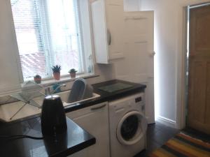 uma cozinha com um lavatório e uma máquina de lavar roupa em Apartment with Outside Patio and Car Space em Durham