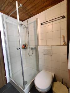 Koupelna v ubytování Säntisecho - in der Natur zu Hause