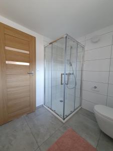 a glass shower in a bathroom with a toilet at Studio Dudek in Wójtowice