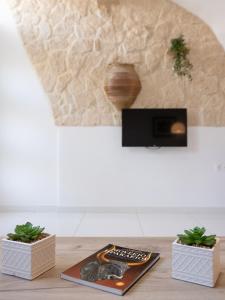 een tafel met twee planten en een afstandsbediening bij Palm House near Heraklion Airport in Heraklion