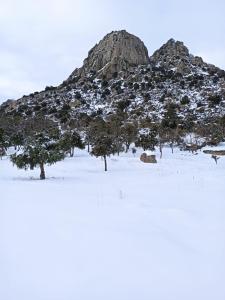 Imagen de la galería de La Consentida, en La Cabrera