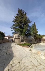 a house with a tree in the middle of a driveway at La Consentida in La Cabrera