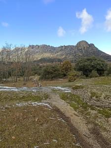 a dirt road in a field with a mountain in the background at La Consentida in La Cabrera