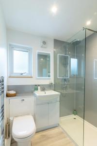 a bathroom with a shower and a toilet and a sink at Allt Mor Rentals - Chalet with hot tub, And Studio Apartment no hot tub in Roybridge +28 photos