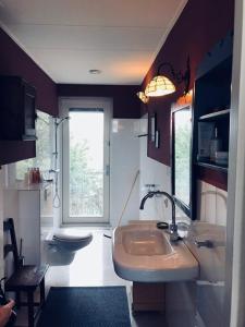 un bagno con lavandino e WC di Beautiful Countryside house, close to Amsterdam a Broek in Waterland