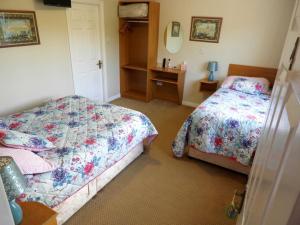 een slaapkamer met 2 bedden en een spiegel bij Cillcearn House in Killarney