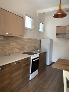 a kitchen with wooden cabinets and a white refrigerator at Apartmani Vila in Cetinje