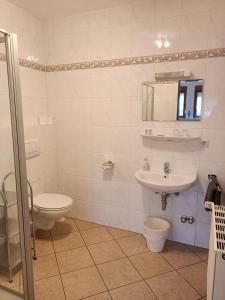 a white bathroom with a toilet and a sink at Landhaus am Brubbel in Wallenborn