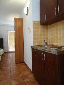 uma cozinha com um lavatório e uma bancada em Nada Jablan's Studios em Herceg Novi