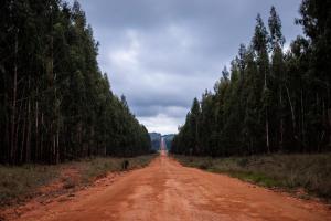 Fotografie z fotogalerie ubytování The Bubble Valley v destinaci Piet Retief