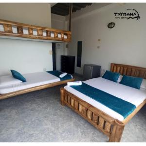 two bunk beds in a room at Tayrona Dive Center in Taganga