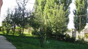 a tree in the grass next to a fence at Lary Hostel in Suceava