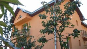 a building with a tree in front of it at Lary Hostel in Suceava