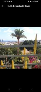 a view of a palm tree from a book at Habitaciones Cómodas con baño individual in Santa Cruz de Tenerife