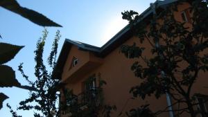a building with a tree in front of it at Lary Hostel in Suceava