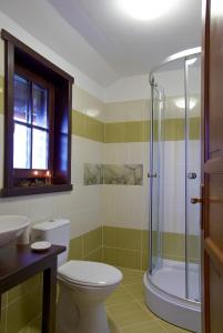 a bathroom with a toilet and a glass shower at Casuta cu prieteni in Cornu de Jos +49 photos