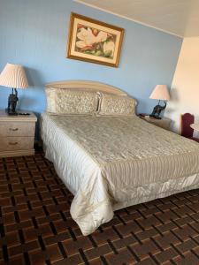 a bedroom with a bed and two night stands with lamps at Village Inn Salina in Salina