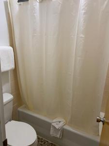 ein Badezimmer mit Toilette und Duschvorhang in der Unterkunft Village Inn Salina in Salina