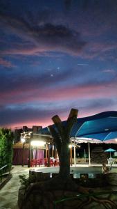 Ein Baum vor einem Gebäude in der Nacht in der Unterkunft 1307 AP 2 Quartos Shopping , banheira de hidro privativa , bebidas liberadas nas piscinas , e com internet no ap, proximo ao shopping singapura in Caldas Novas