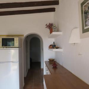 Köök või kööginurk majutusasutuses Cortijo con encanto