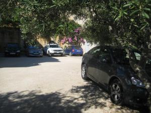 Fotografie z fotogalerie ubytování Apartments Žara v destinaci Mimice