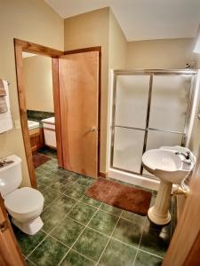 uma casa de banho com um WC, um lavatório e um chuveiro em Cedar Creek Cabins #1 - Giant Spa Tub, Large Wooded Porch, Full Kitchen, 1 Bedroom em Eureka Springs