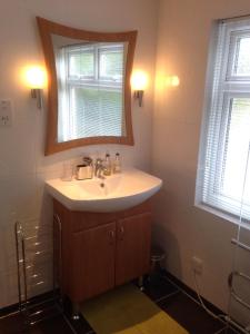uma casa de banho com um lavatório e um espelho em Clay Farm Guest House em Bromley
