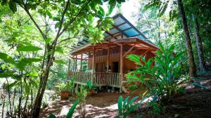 a wooden cabin in the middle of a forest at Finca Encanto Eco Lodge in Sierpe