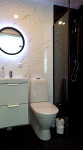 ein Badezimmer mit einem weißen WC und einem Spiegel in der Unterkunft Liisu Külalistemaja in Haapsalu