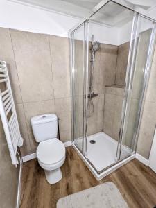 Bilik mandi di Joli appartement de charme rénové en centre ville