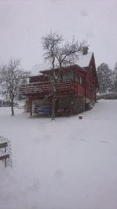 uma casa vermelha com uma árvore na neve em Chata s bazénem Bozkov em Bozkovska