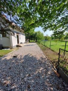 Zahrada ubytování House Kupa MB