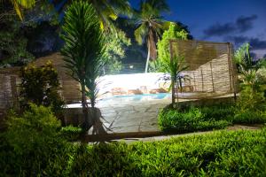 Jardín al aire libre en Cycad Palm Diani