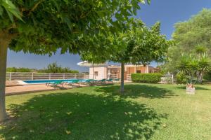 Bazén v ubytování Can Picafort - 29003 Mallorca nebo v jeho okolí