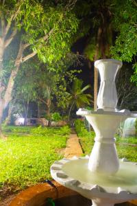 Jardín al aire libre en Cycad Palm Diani