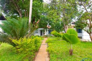 Jardín al aire libre en Cycad Palm Diani