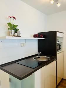 Kuchyň nebo kuchyňský kout v ubytování Pension Garni No.11