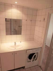 菲奈斯达伦Funäsdalsporten Röda Husen Funäsdalen的带水槽和洗衣机的浴室 更多39张照片