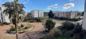 une cour avec un palmier et un bâtiment dans l'établissement RESIDENCE DE LA MER - A 2 pas du Port et de la Plage, à Saint-Cyprien