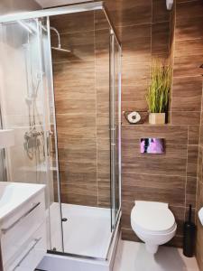 a bathroom with a toilet and a glass shower at Apartament SPA 44 Resort Kozubnik blisko Szczyrk- 5D Apartamenty in Porąbka