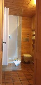 ein Bad mit einer Dusche und einem WC in einem Zimmer in der Unterkunft 2-Zimmer DG-Apartment mit eigener Sauna in Oberhaching