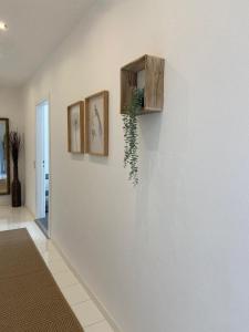 a white wall with paintings and a plant on it at Apartment KLASSIKO in Bremerhaven