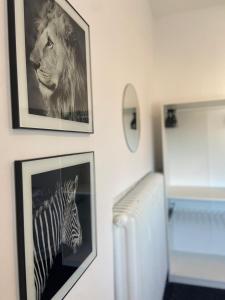 two pictures of a zebra and a lion on a wall at Apartment KLASSIKO in Bremerhaven