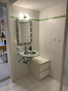 a bathroom with a sink and a mirror at Tolles Apartment in idyllischer ruhiger Lage in Braunschweig