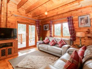 艾維布里奇的住宿－Bearscombe View，小屋内的客厅配有沙发和电视