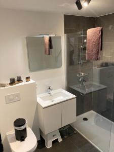 a bathroom with a toilet and a sink and a shower at Maison Coxyde in Koksijde +33 photos