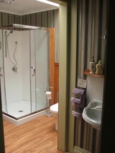 a bathroom with a shower and a toilet and a sink at Astonleigh Villa Bed & Breakfast in Te Awamutu