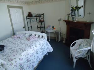 a bedroom with a bed and a fireplace and a mirror at Astonleigh Villa Bed & Breakfast in Te Awamutu