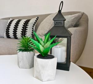 a table with a lantern and two plants on it at Apartment Maestral in Rovinj